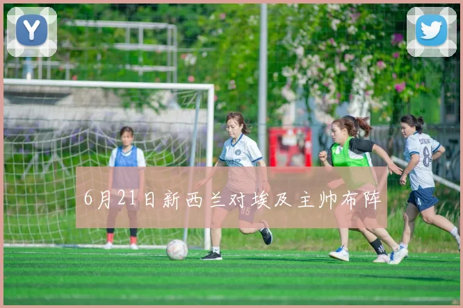 6月21日新西兰对埃及主帅布阵