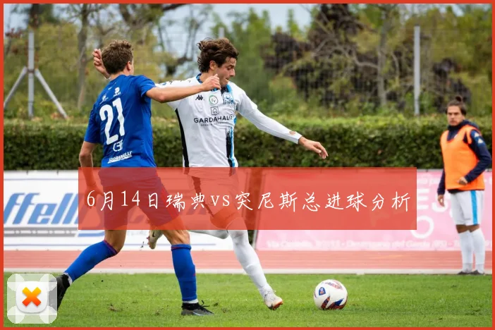 6月14日瑞典vs突尼斯总进球分析