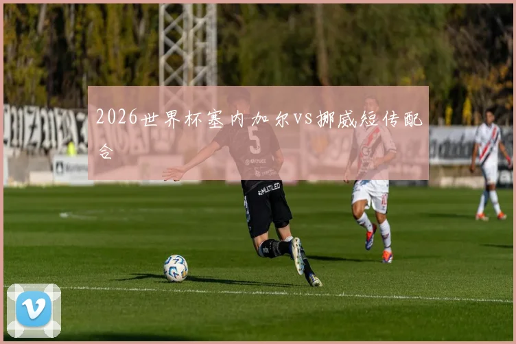 2026世界杯塞内加尔vs挪威短传配合