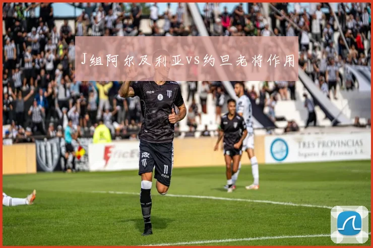 J组阿尔及利亚vs约旦老将作用
