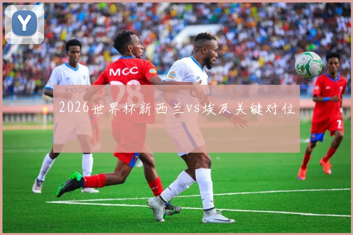 2026世界杯新西兰vs埃及关键对位