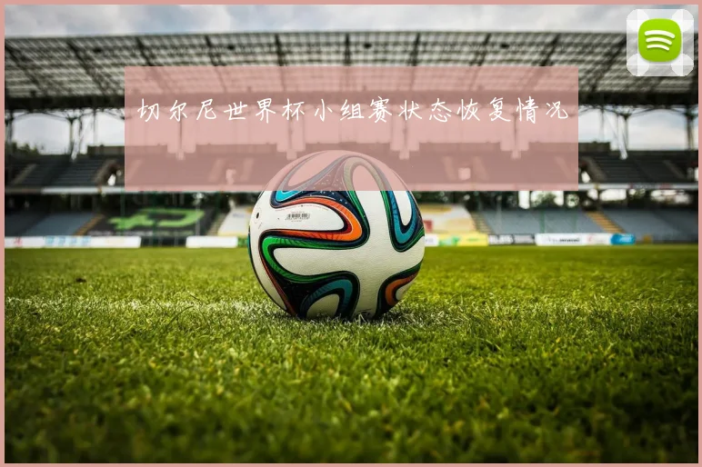 切尔尼世界杯小组赛状态恢复情况