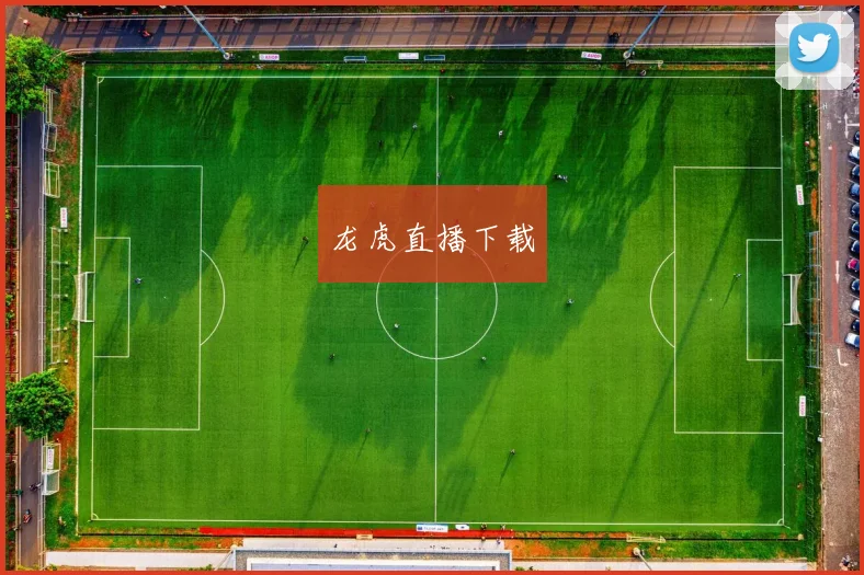 龙虎直播下载
