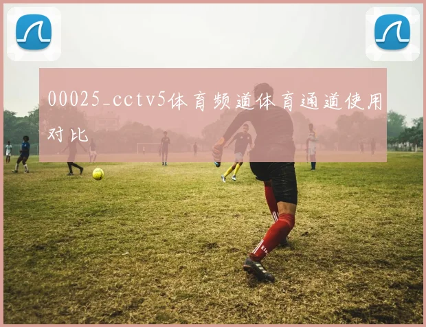 00025_cctv5体育频道体育通道使用对比