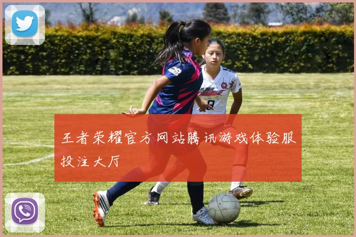 王者荣耀官方网站腾讯游戏体验服投注大厅