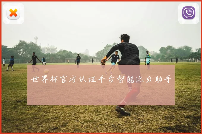 世界杯官方认证平台智能比分助手
