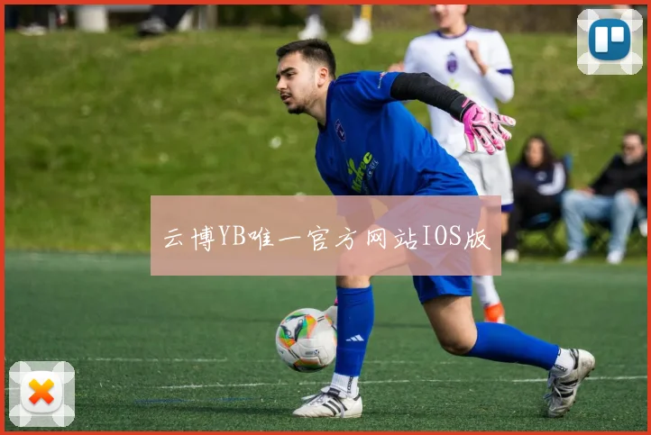 云博YB唯一官方网站IOS版