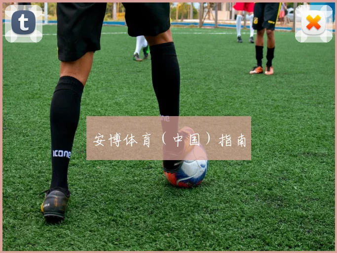 安博体育（中国）指南