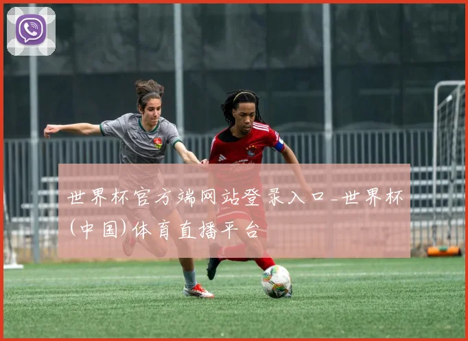 世界杯官方端网站登录入口_世界杯(中国)体育直播平台
