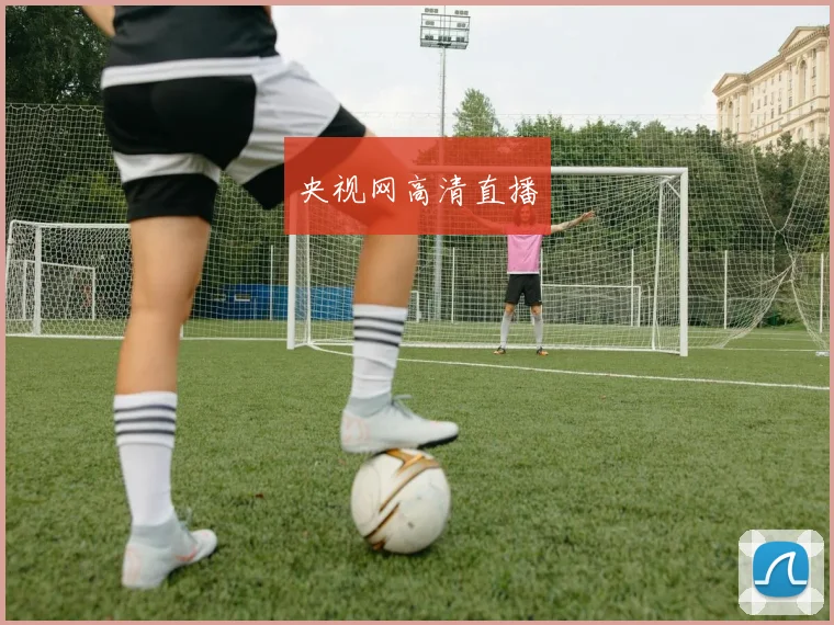央视网高清直播