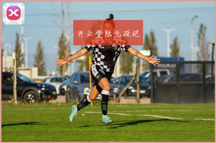开云登陆无延迟