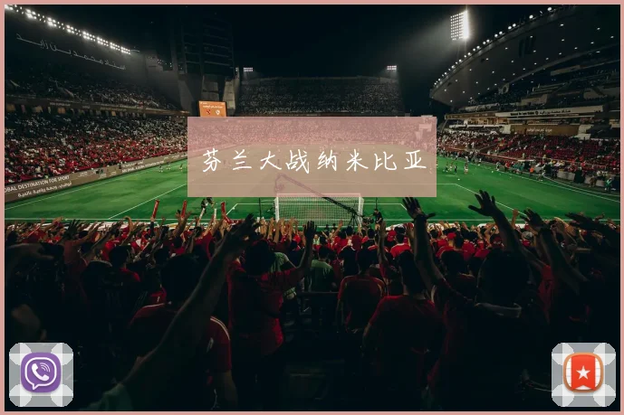 芬兰大战纳米比亚