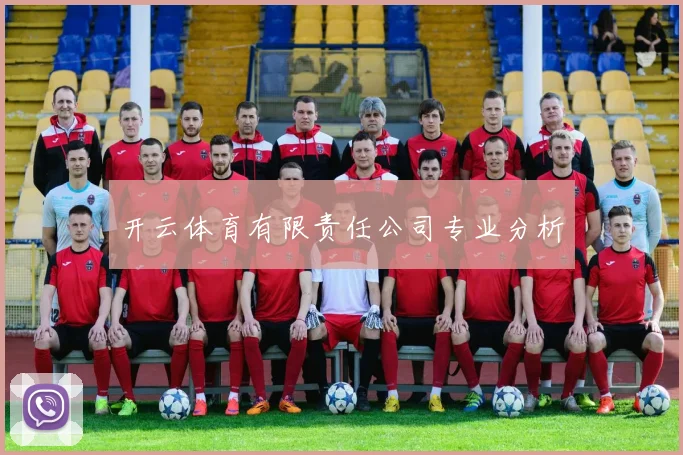 开云体育有限责任公司专业分析