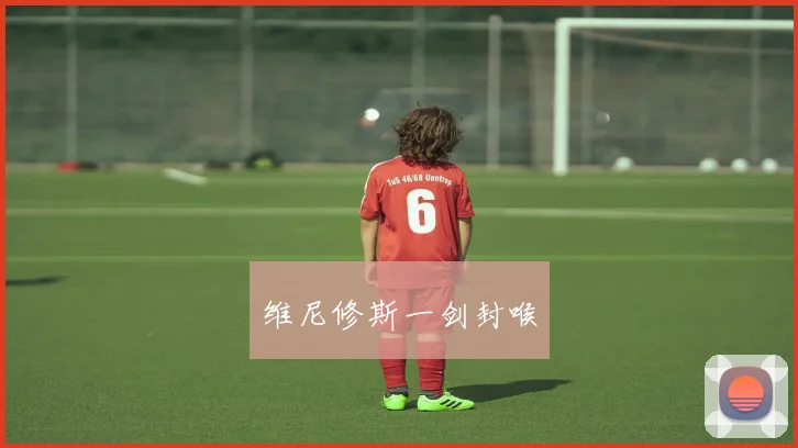 维尼修斯一剑封喉