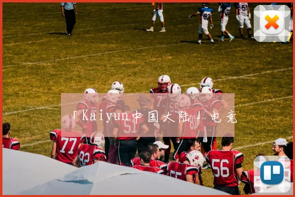「Kaiyun中国大陆」电竞