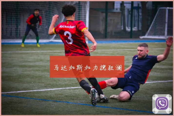 马达加斯加力挽狂澜