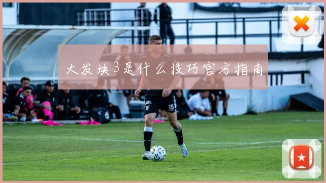 大发块3是什么技巧官方指南