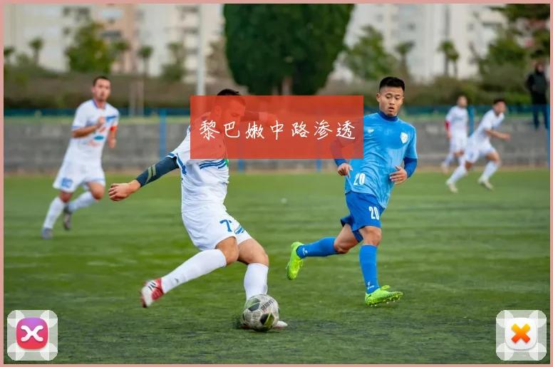 黎巴嫩中路渗透