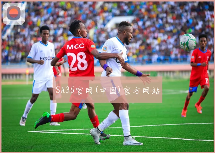 SA36官网(中国)官方网站