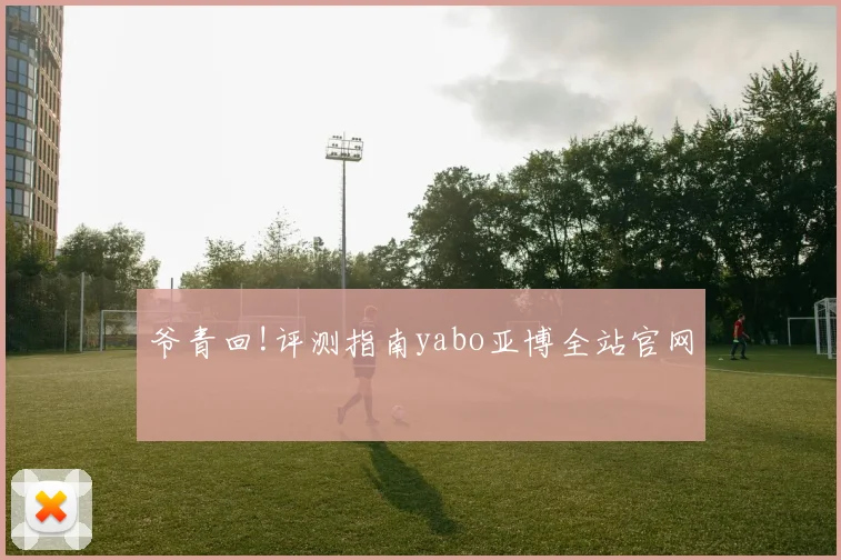 爷青回!评测指南yabo亚博全站官网