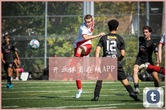 开云体育在线APP