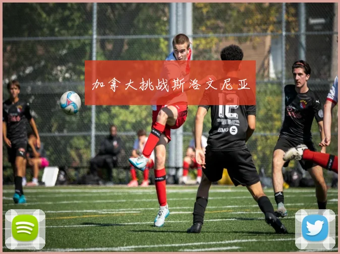 加拿大挑战斯洛文尼亚