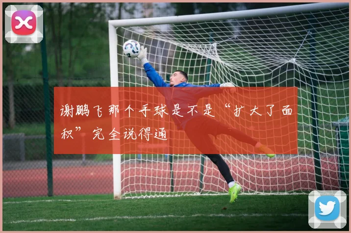 谢鹏飞那个手球是不是“扩大了面积”完全说得通
