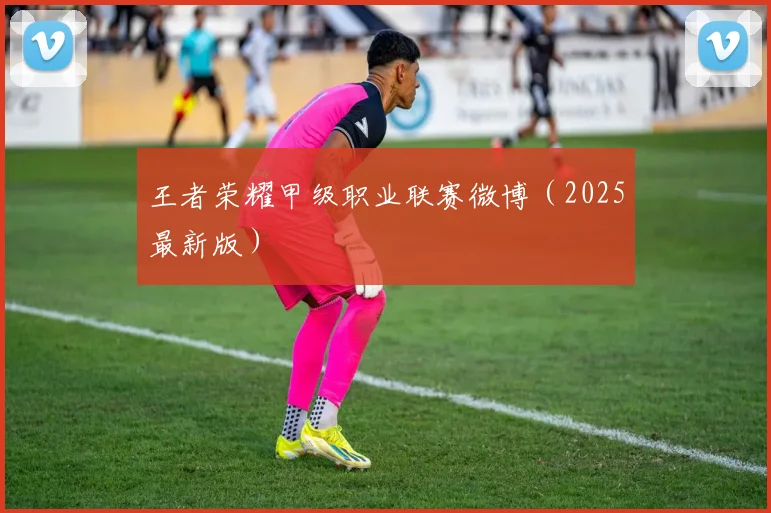 王者荣耀甲级职业联赛微博（2025最新版）