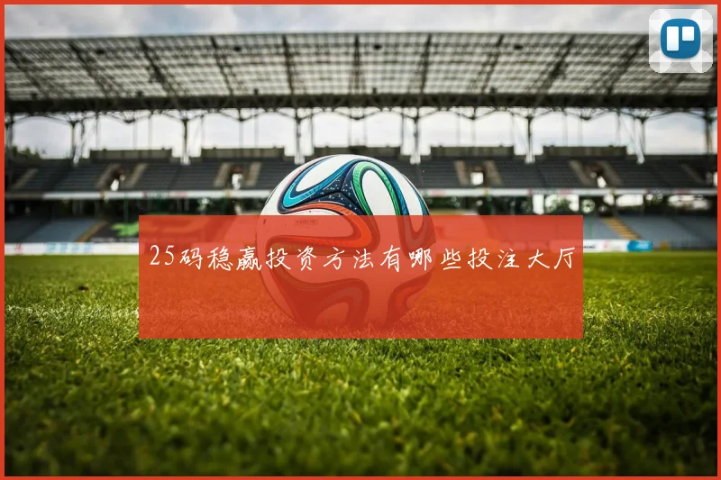 25码稳赢投资方法有哪些投注大厅