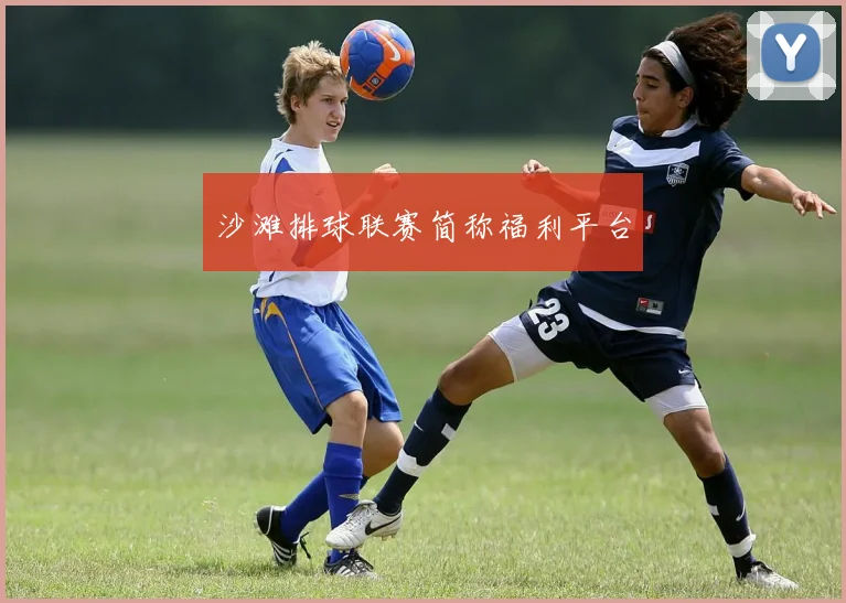 沙滩排球联赛简称福利平台