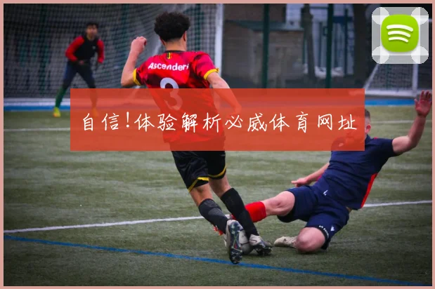自信!体验解析必威体育网址