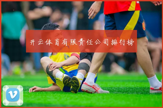 开云体育有限责任公司排行榜
