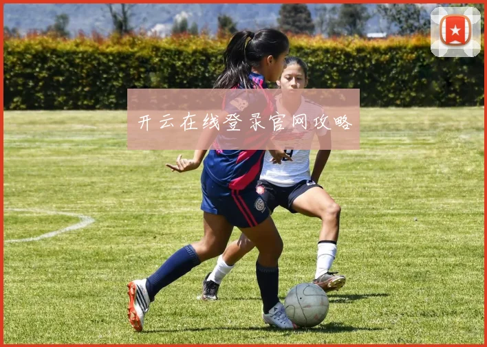 开云在线登录官网攻略