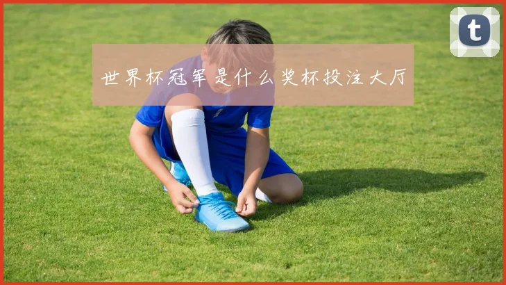 世界杯冠军是什么奖杯投注大厅