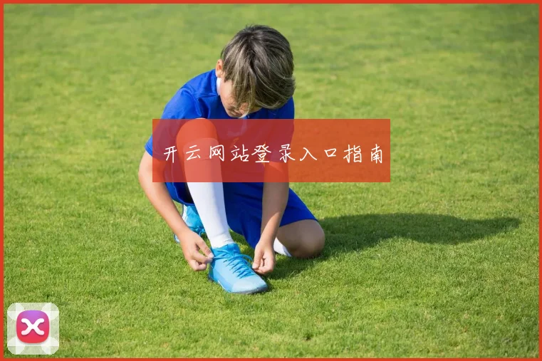 开云网站登录入口指南