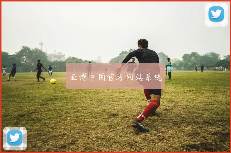 亚搏中国官方网站系统