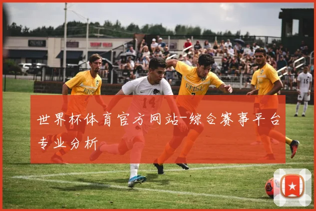 世界杯体育官方网站-综合赛事平台专业分析