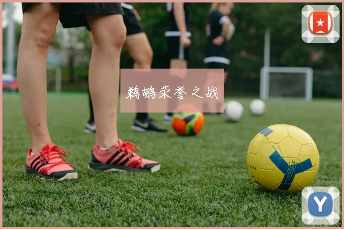 鹈鹕荣誉之战