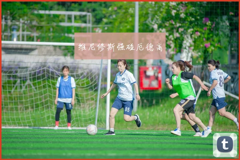 维尼修斯强碰厄德高