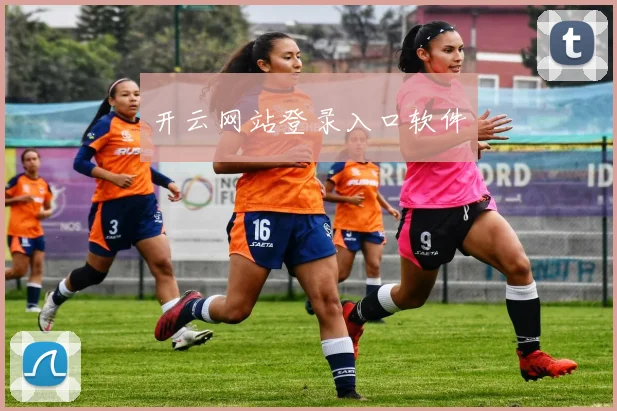 开云网站登录入口软件