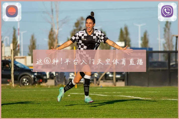 这⑥种!平台入门天空体育直播