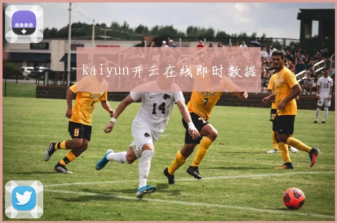 kaiyun开云在线即时数据