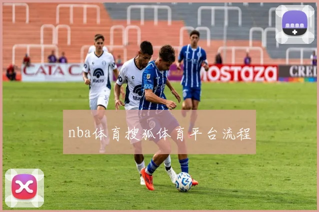 nba体育搜狐体育平台流程