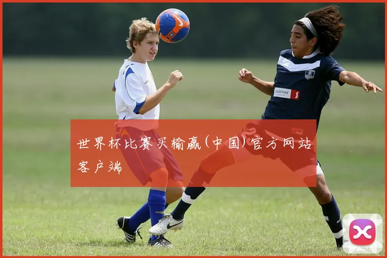 世界杯比赛买输赢(中国)官方网站客户端