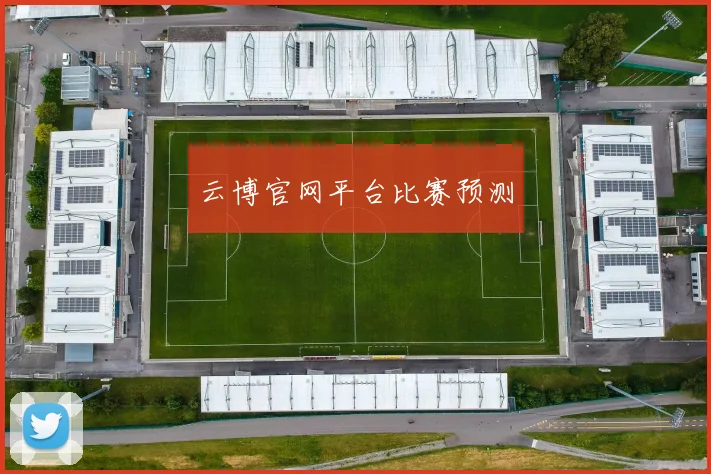 云博官网平台比赛预测