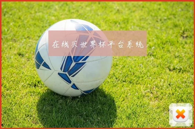 在线买世界杯平台系统