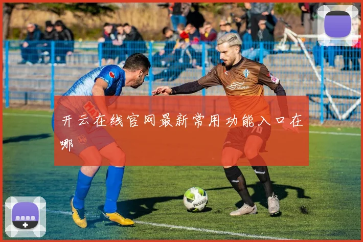 开云在线官网最新常用功能入口在哪